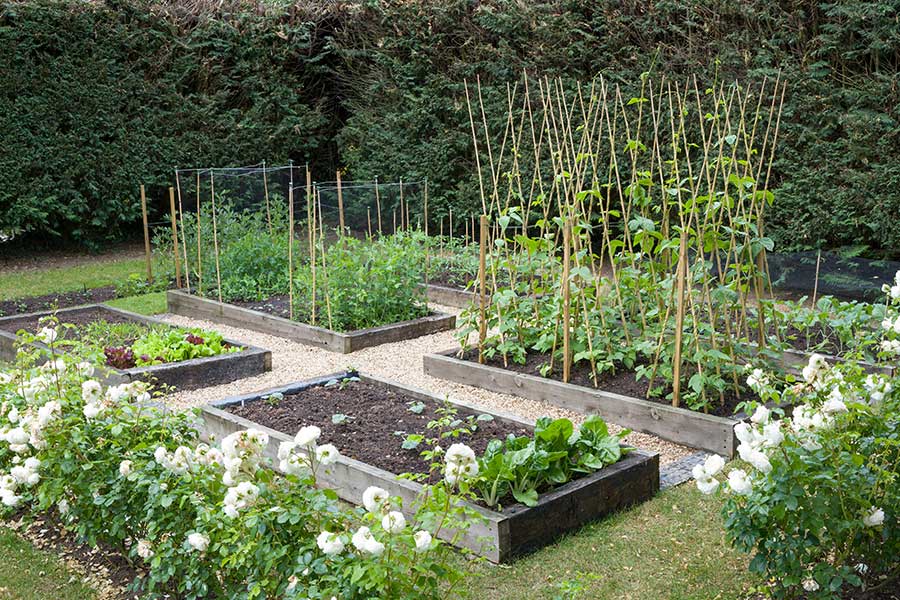 Raised vegetable beds created using new railway sleepers