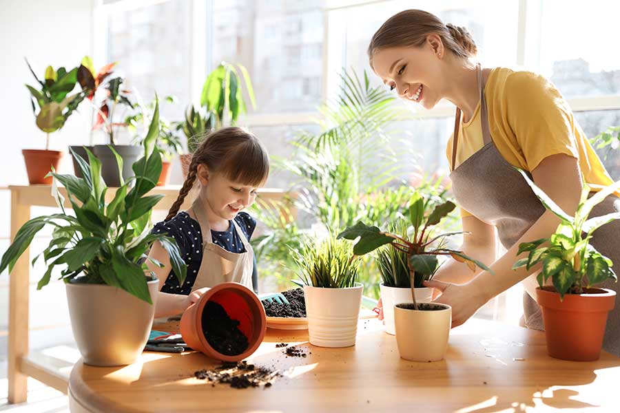 Mother and child caring for house plants
