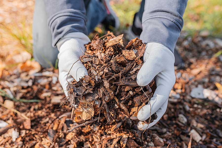 Composted bark mulch