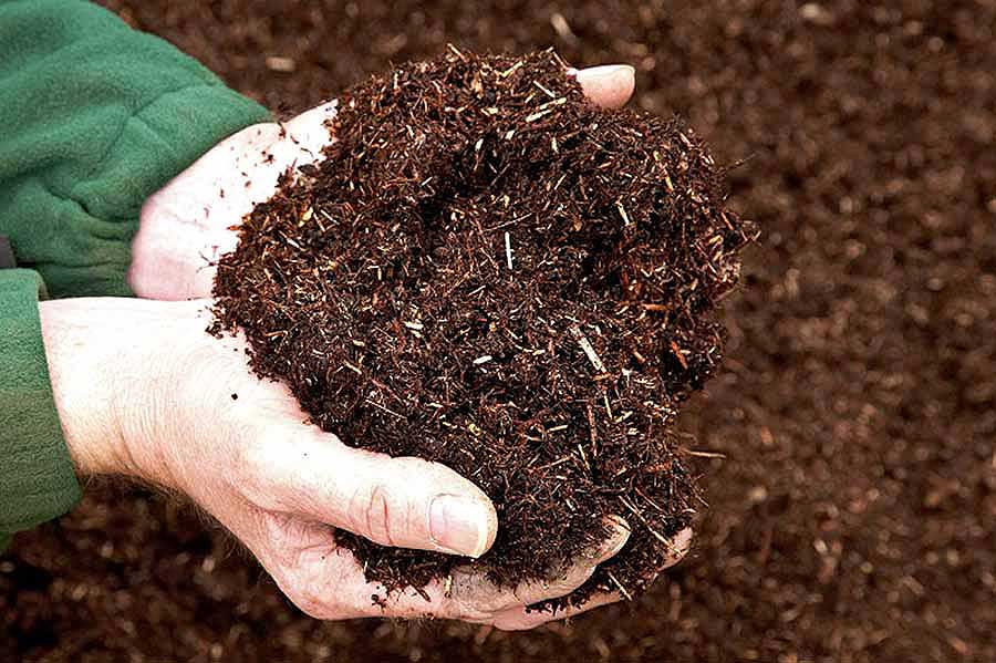 Biodegradable mulch