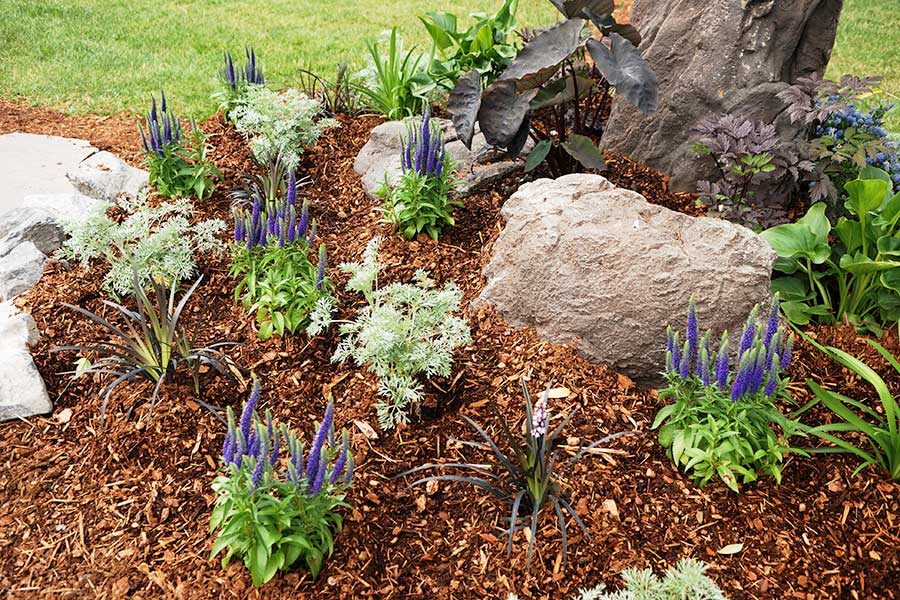 Garden mulched with a covering of landscaping bark