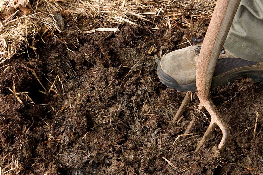 Gardener adding a mulch of well rotted manure to garden beds