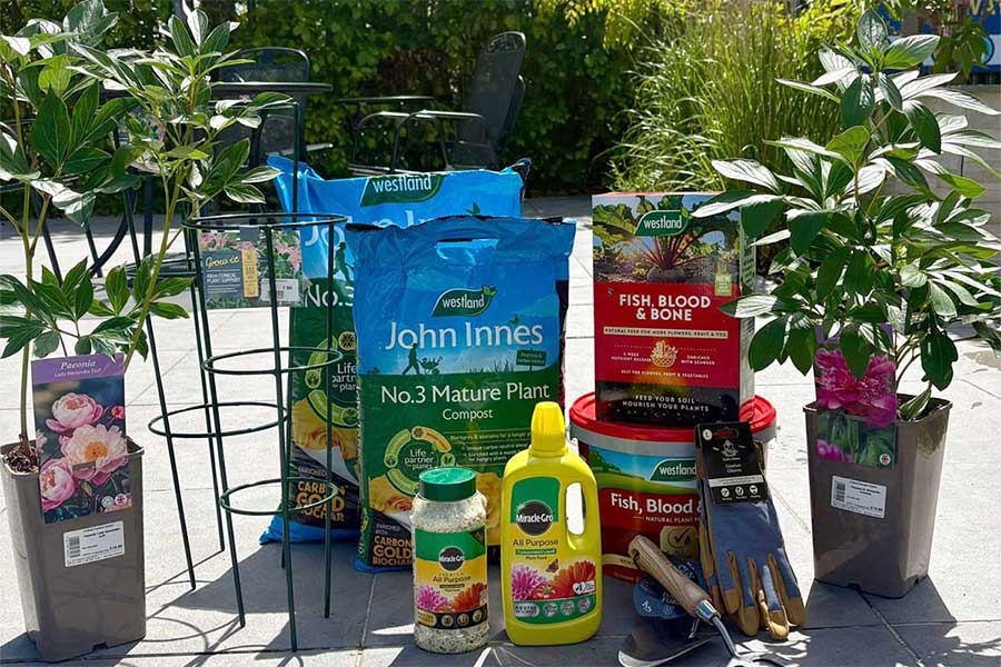 Image of peony plants surrounded by composts, plant supports and post for getting the best from new peonies displayed at Oxford Garden Centre