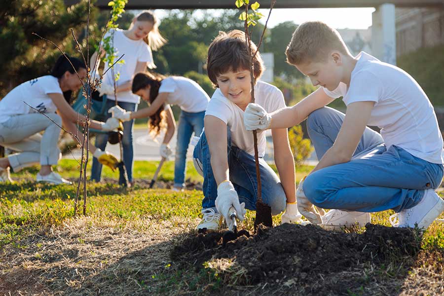 School group planting sapling trees