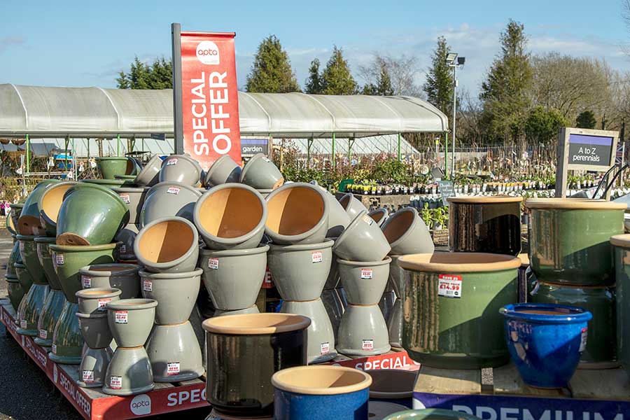 Large display of Apta plant pots at Oxford Garden Centre