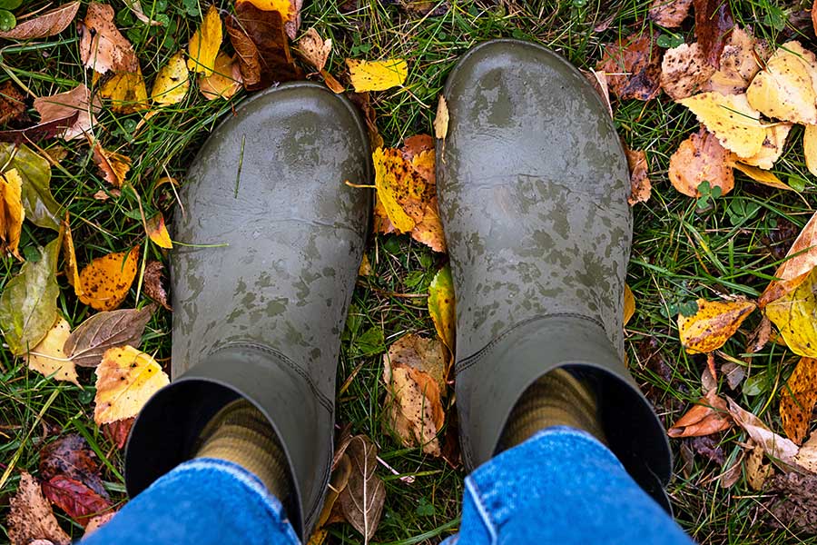 Walking on frosty or wet grass can damage it